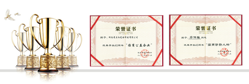 湖南正陽臨商公益企業